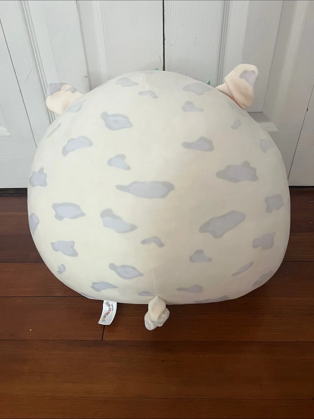 Two Squishmallows Nixie and Rosie